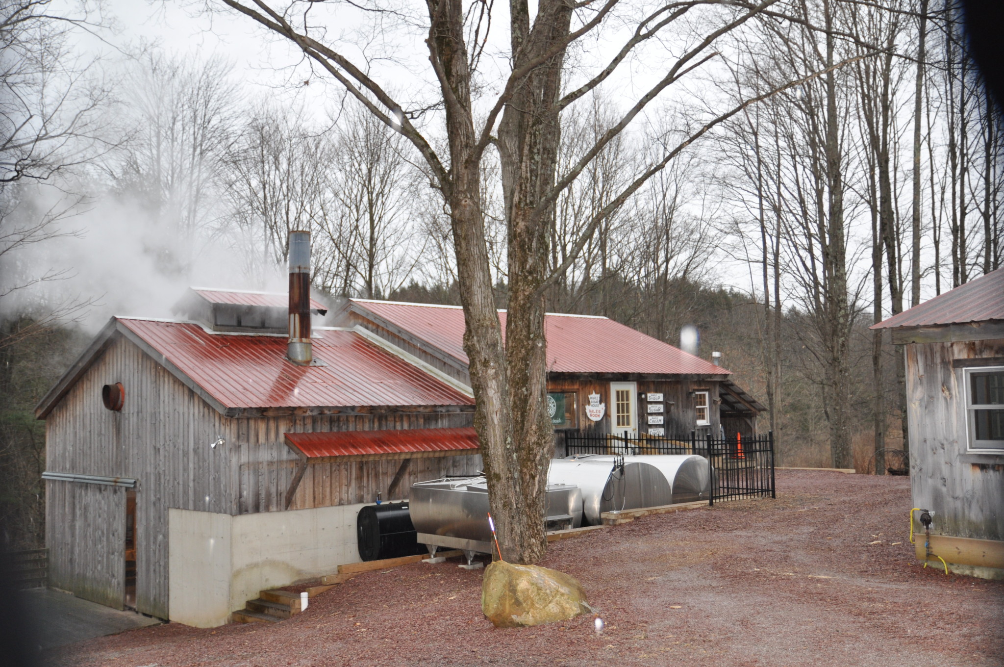 Read more about the article Maple events on tap next two weekends