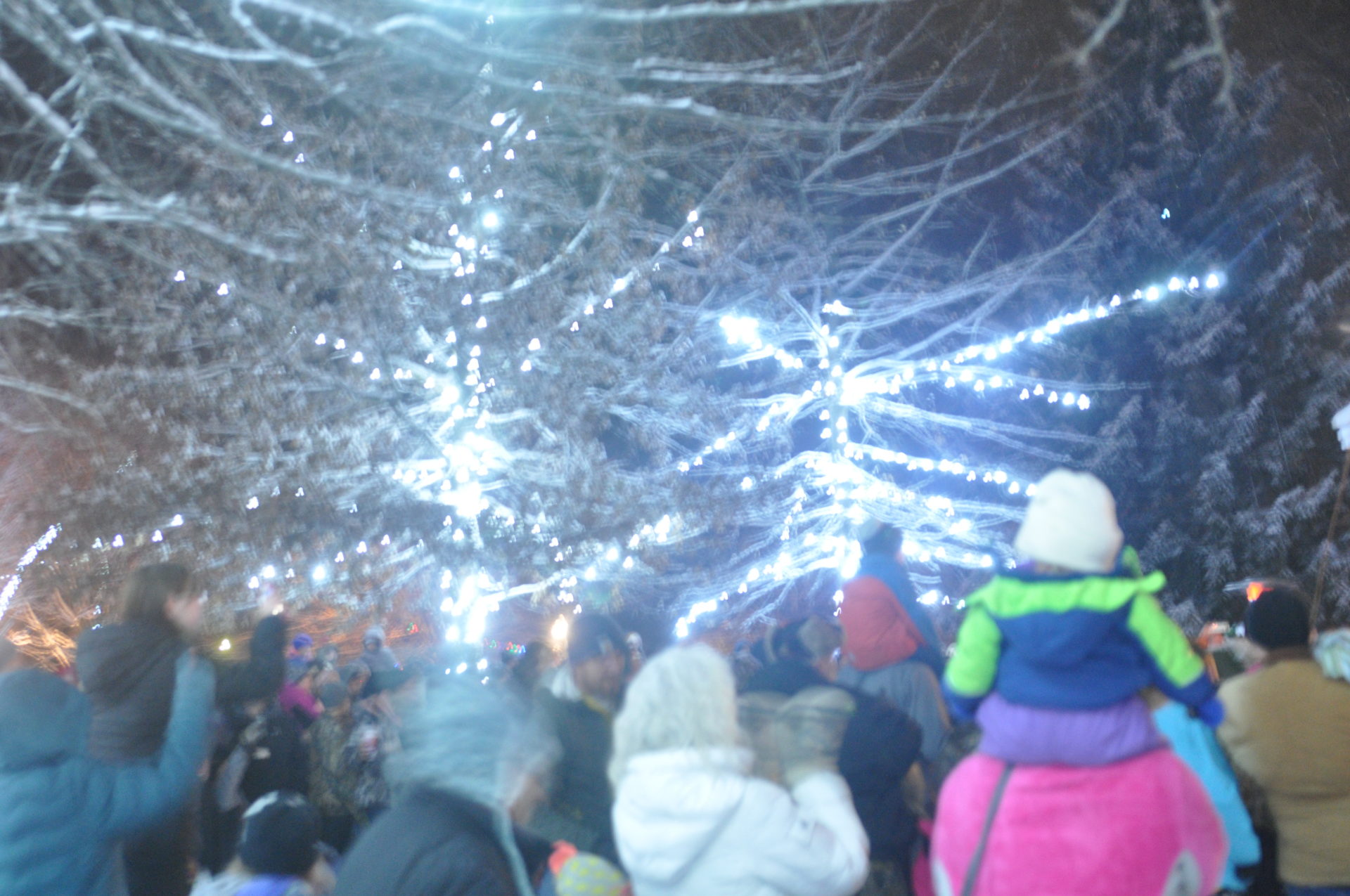 Read more about the article Crowd delights in tree-lighting, Grinch