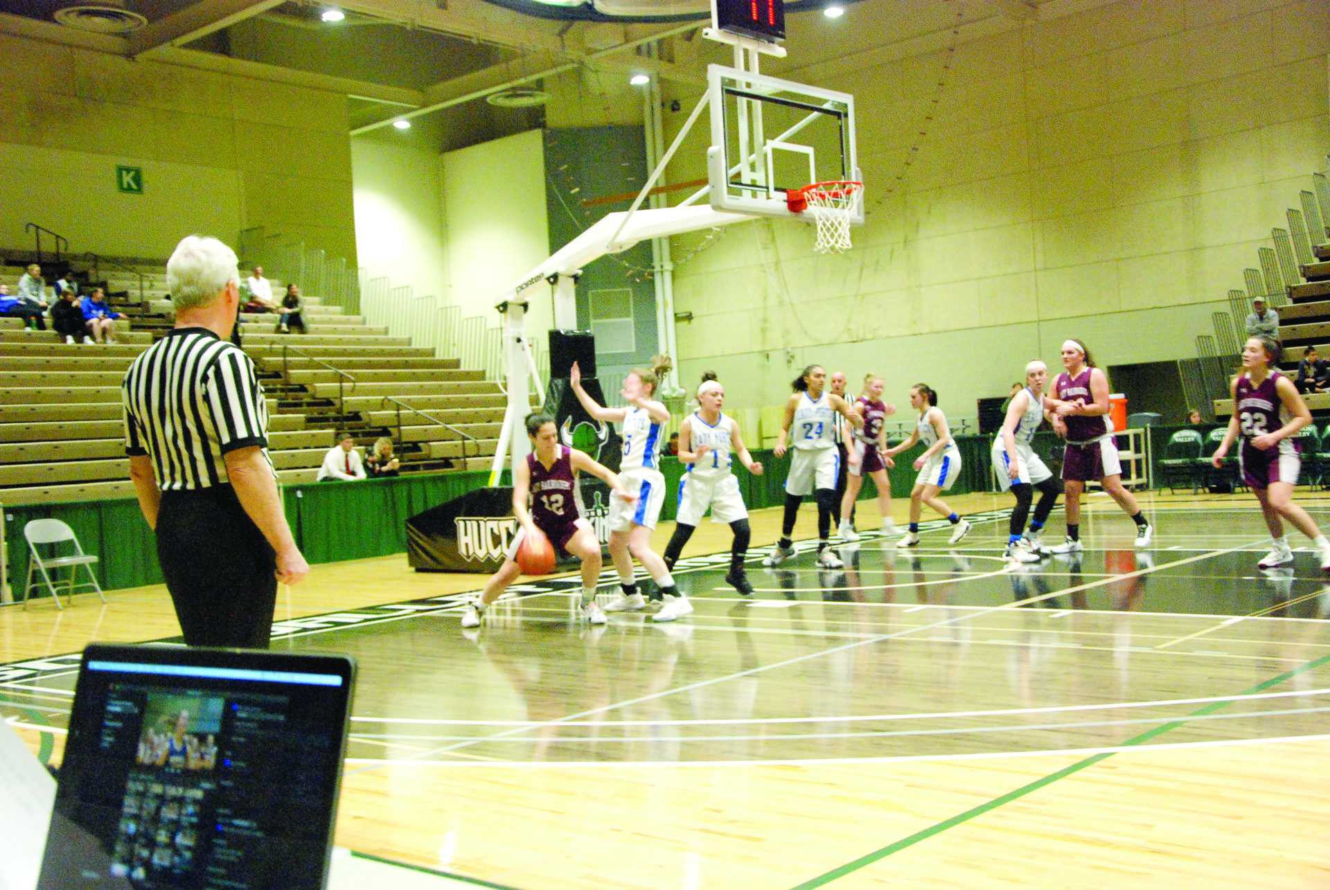 Read more about the article Whitehall girls lose title game