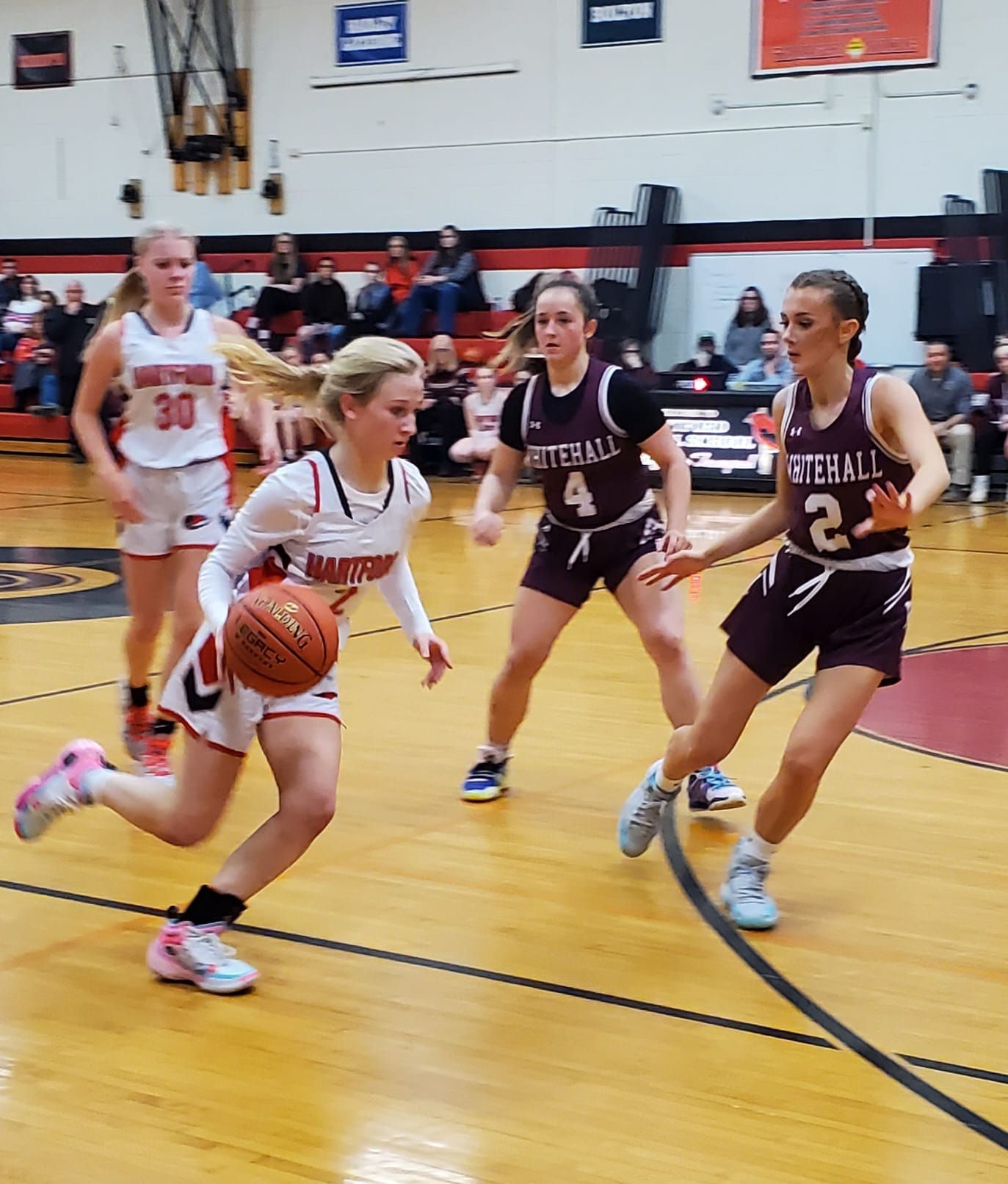 Read more about the article Tanagers Soar Past Whitehall in ADK Opener